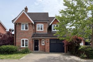 Photo 2- click for photo gallery